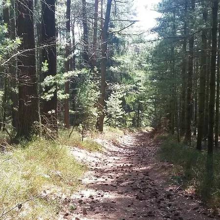 Hammergrund Apartment *