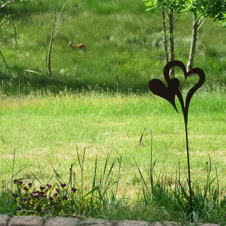 Hammergrund Apartment Mossautal