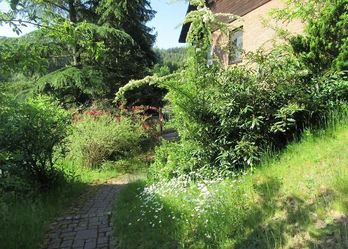 Nibelungenwald 아파트 Mossautal