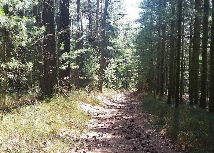 Hammergrund Apartamento *