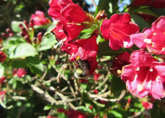 Hammergrund Apartamento